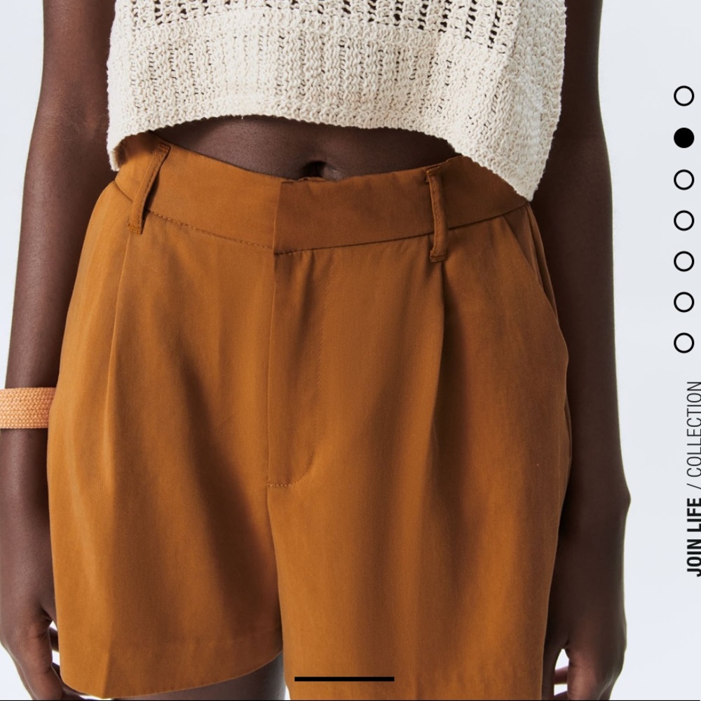 NWT Pleated Shorts— Zara - Picture 2 of 5